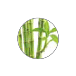Bamboo 4018